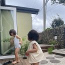 한담 애 | 제주살기 3일차 | 제주시내 소아과 ,한담해변 푸딩 ‘푸린’