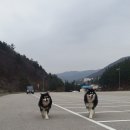 (주)골든골드