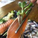 최우영수산 이미지