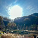 성불산자연휴양림 캠핑장 이미지