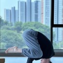 선후요가스튜디오 | 시흥 은계호수공원 남자요가 찐후기 in 선후요가스튜디오