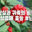아모레뷰티카운셀러 이미지