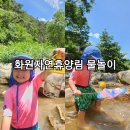 개구리화원 이미지