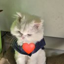 더담아유 | 25.11 첫주 일상