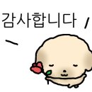 우성1급정비공장