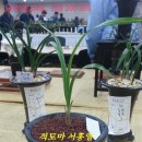 한국공판장 이미지