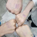 가족여행 추천 강화도 가볼만한곳 강화루지 할인정보