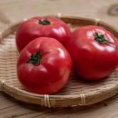 토마토 “제대로 먹기만해도 보약보다 좋아” 올바른 섭취방법 이미지