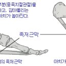 임순덕 이미지