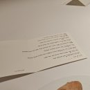 치즈폼(cheese foam) | 오사카 파인다이닝 레스토랑 미슐랭 Liaison 리애종 런치 후기