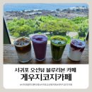 [서귀포 오션뷰 카페] 쇠소깍 근처 게우지코지카페 (블루리본서베이 수록)