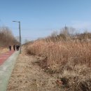 옥구2교 이미지