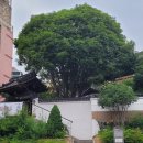 수정1동 주민센터 이미지