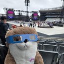 THE PLAY | [콘서트후기]20241113 COLDPLAY Music Of The Spheres