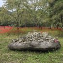 무장농협하나로마트 이미지