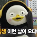 케이바디