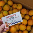 더조은갈비 | 블챌/가을 맛보기도 못했는데 간주점프한 10월 마지막주 일상