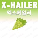 졸리베이프 하양점 이미지