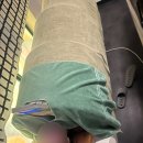 시온 | [가난한 대학생도 즐기는 가성비 영통맛사지 체험기] 시온체형클리닉 방문 후기