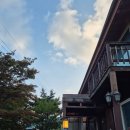 대관령로뎀나무 이미지