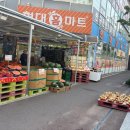 싱싱마트 | 현대홈마트 반구점, 싱싱한 장보기 끝판왕🛒