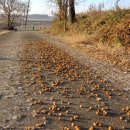 동면농장 이미지