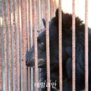 이학영 농장 데일리안