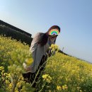 한달살기] DAY1. 배타고 제주항, 상춘재, 서귀포펜션, 섭지코지, 해녀엄마의집, 성산하나로마트, 제주길...