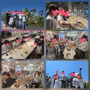행복나들이 Daum카페
