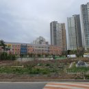 구지 세현초등학교 이미지