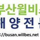 유보상사 이미지