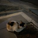 침산공원(B) 이미지