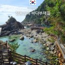 버스매표소 - 부평구 마장로 256 | 정동심곡 바다부채길 입장료 할인 주차장 소요시간 정동에서 심곡 버스 회귀 후기