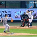 오늘 한화vsNC 벤치클리어링 요약.gif 이미지