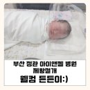 뉴엔젤병원 | 부산 정관 아이앤젤 병원 1인실 제왕절개 | 웰컴 든든이:)