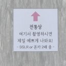 채은플라워 | 평택 고덕 아기 셀프 스튜디오 백일촬영 돌촬영 <새록새록 셀프 베이비 스튜디오> 대만족 촬영후기