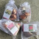 조아가든 이미지