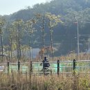 산호대로29길-10 이미지