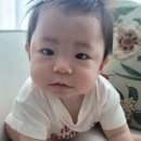 안양연세안과 네이버블로그
