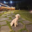 장성 꽃 화원 이미지