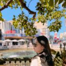 선셋파머스 | LA여행 시티투어 내돈내산 후기! 솔직한 갈렙투어 추천 픽업/게티센터/그리피스천문대