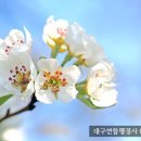 보훈행정사 이미지