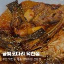 금빛코다리 이미지