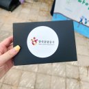 무안생태갯벌사업소 | 광주근교 무안 황토 갯벌 축제 다녀왔어요.(행사2025.09.21까지)