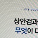 올리브성형외과의원 네이버블로그