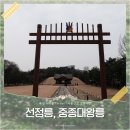 이마트24 선릉공원점 | 선정릉 공원 중종대왕릉 서울 강남 아이와 가볼만한곳 추천