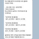 [제주스냅2]셀프드레스&amp;정장대여(더수트옴므 후기) + 촬영 레퍼런스