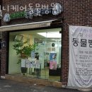 서울 애니 동물병원 이미지