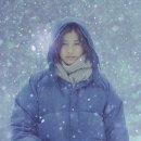 코포레스트 이미지