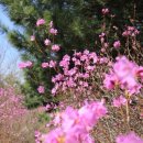 천주산 등산로 입구 이미지